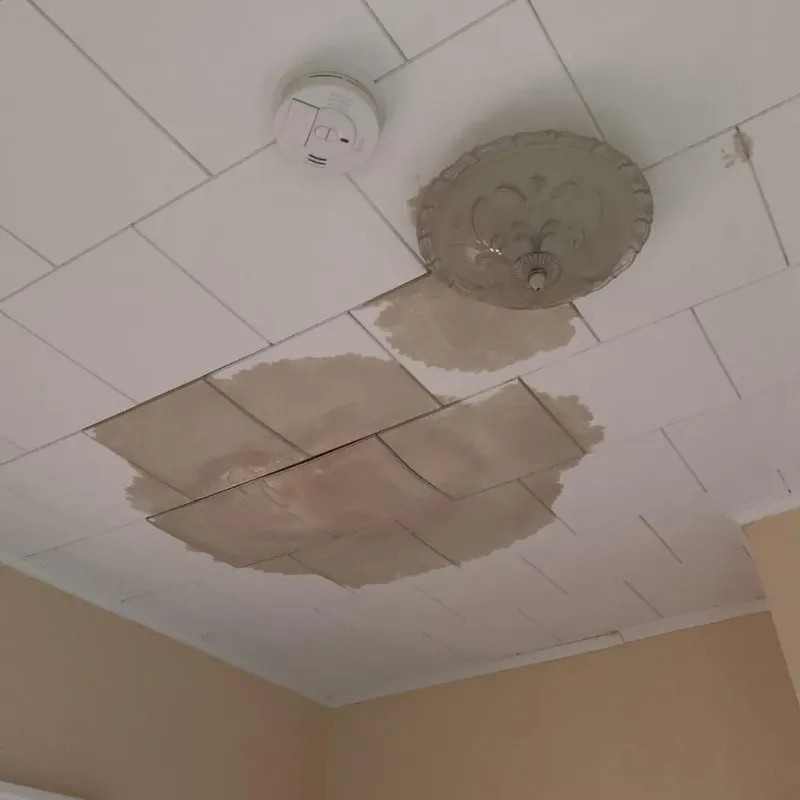 Ceiling Water Damage Repair in Miami, AZ