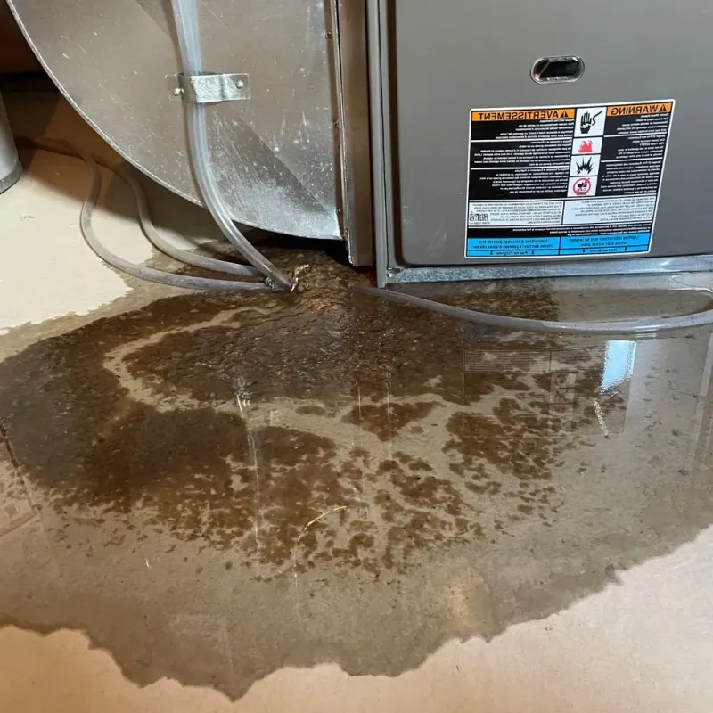 Pipe Burst and Leak Restoration in Miami, AZ